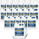 Eucalyptus Mint Demineralized Water for Steam Mops