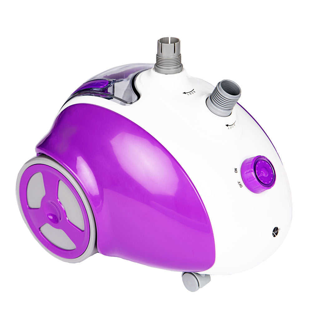 http://steamandgo.com/cdn/shop/products/Steamer-round-body-white-purple-1_1000x.jpg?v=1678385414