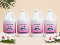 Hotel California Demineralized Water for Steam Mops - Image 4