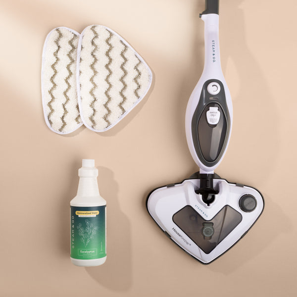Steam Cleaning Starter System