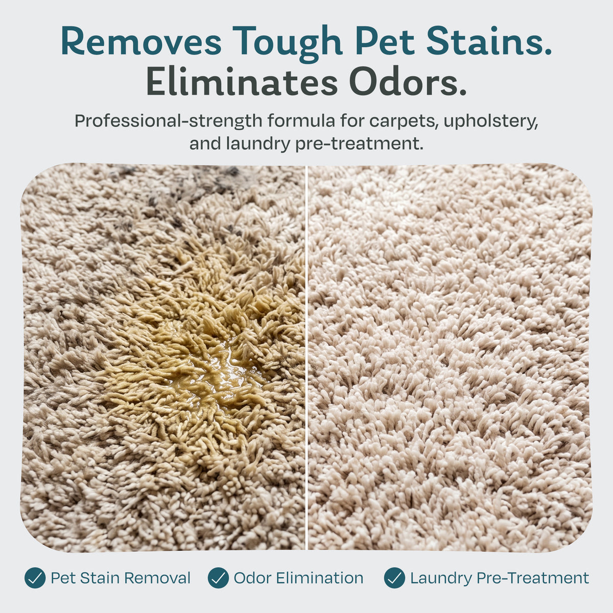 Before and after carpet pet stain removed with Steam & Go multi-surface cleaner, which also eliminates odors and pre-treats laundry stains